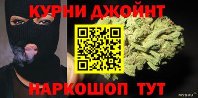 индика Рузаевка