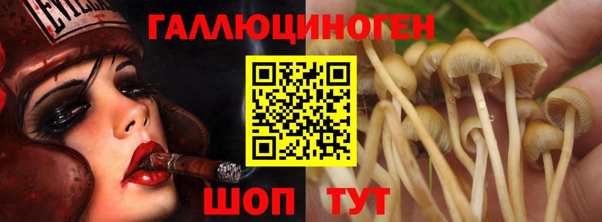 Псилоцибиновые грибы ЛСД Октябрьский