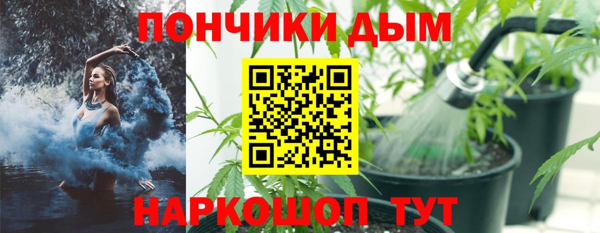 Конопля индика Октябрьский